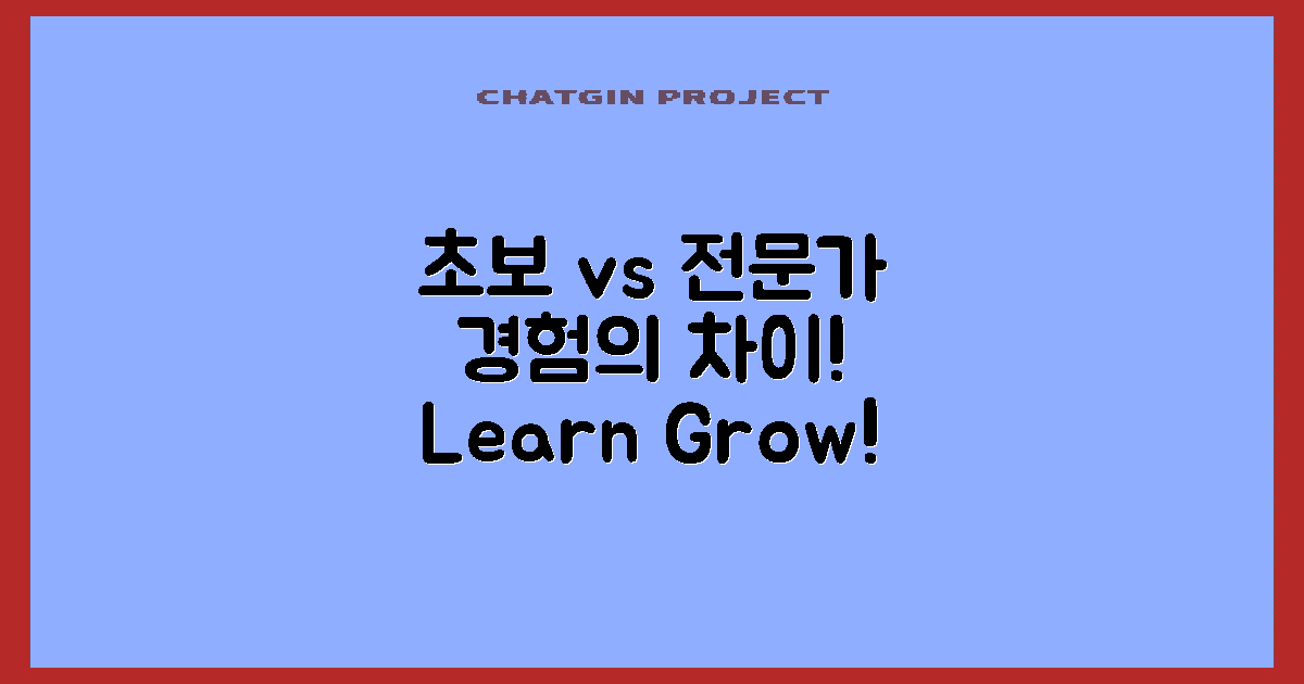 초보자와 전문가의 경험