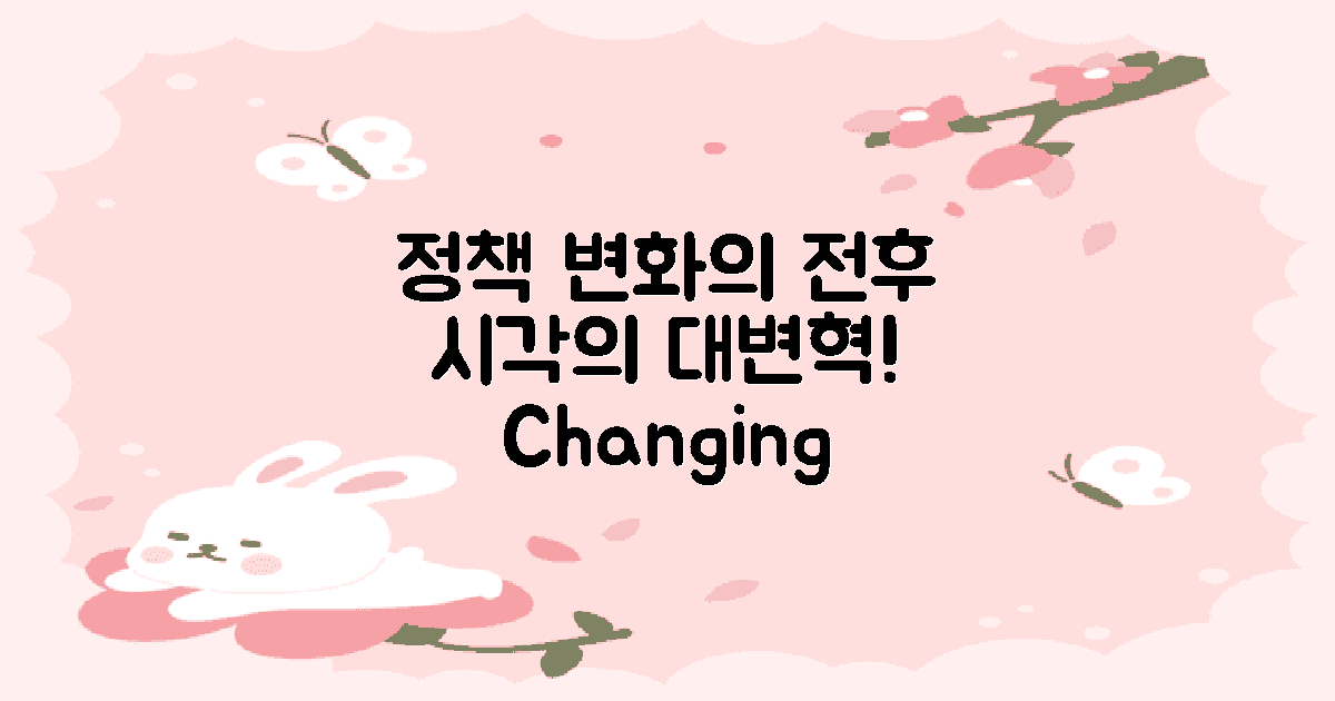 정책 변화 전후의 시각