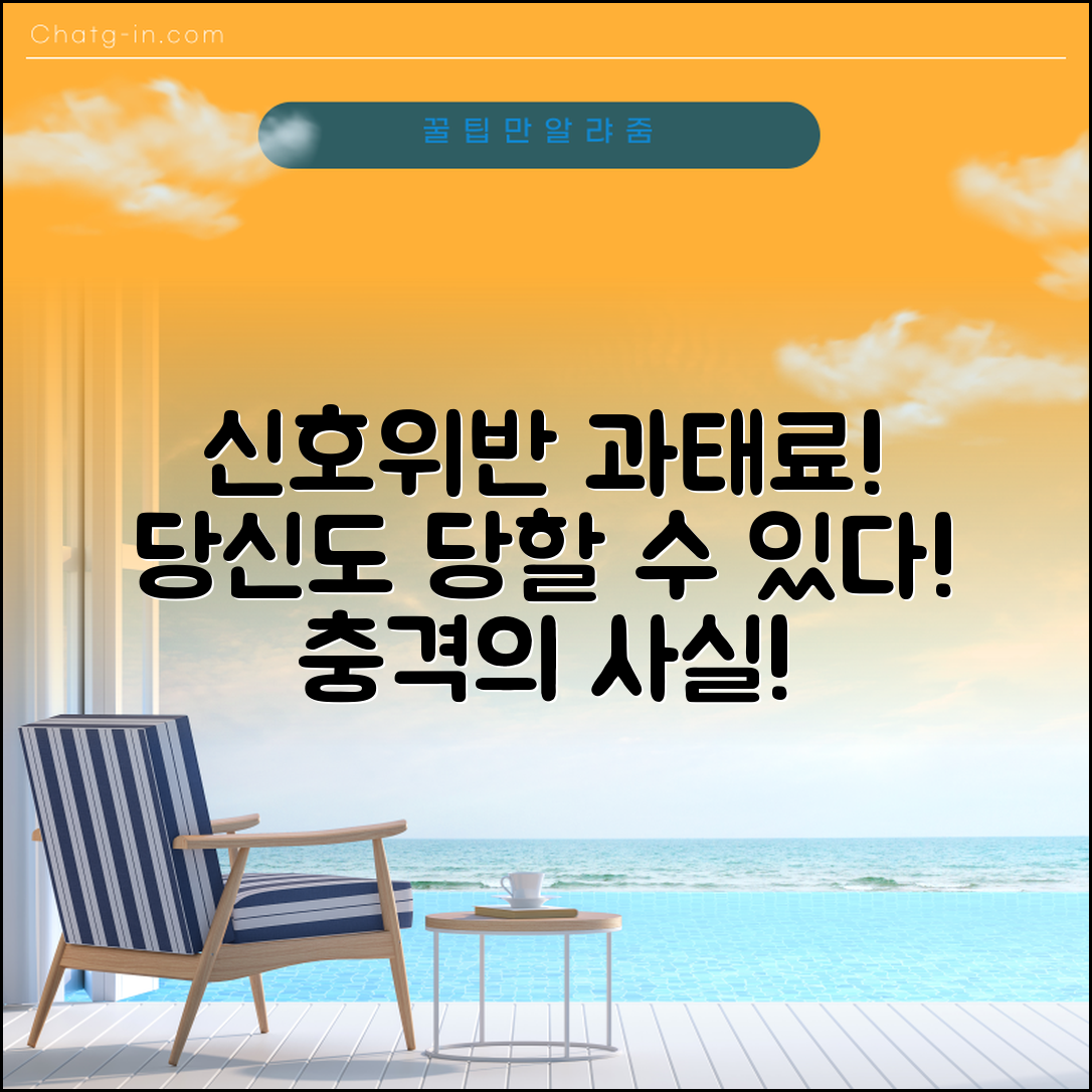 충격적인 신호위반 과태료, 당신도 당할 수 있다!
