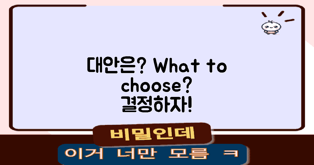 대안은 무엇이 있을까?