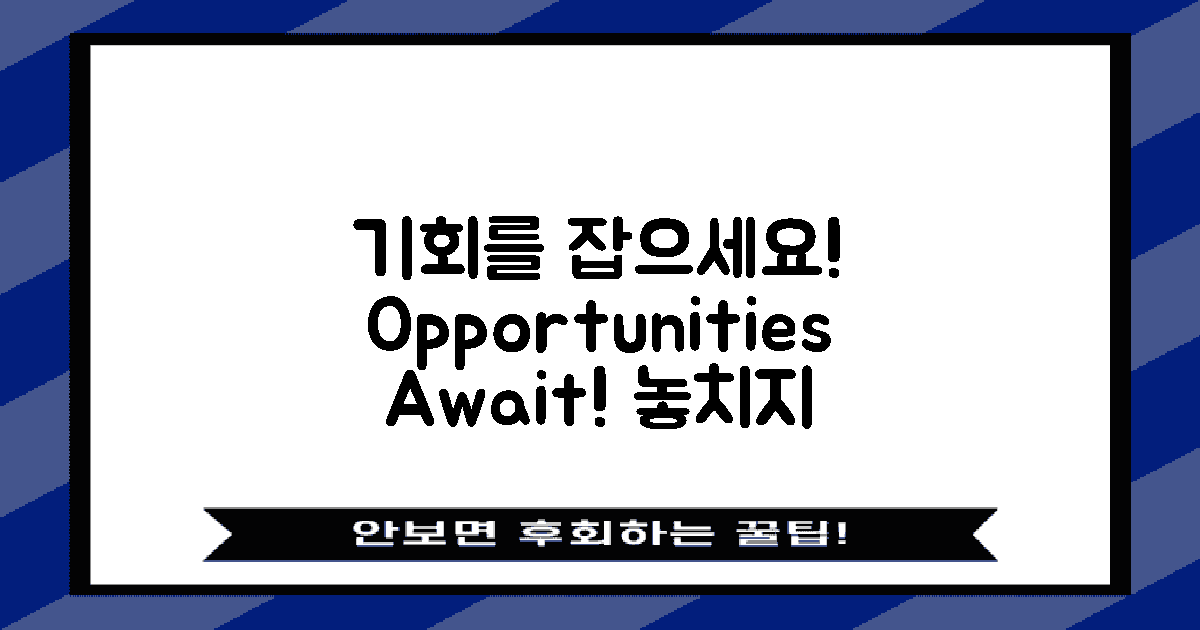 기회를 잡으세요!