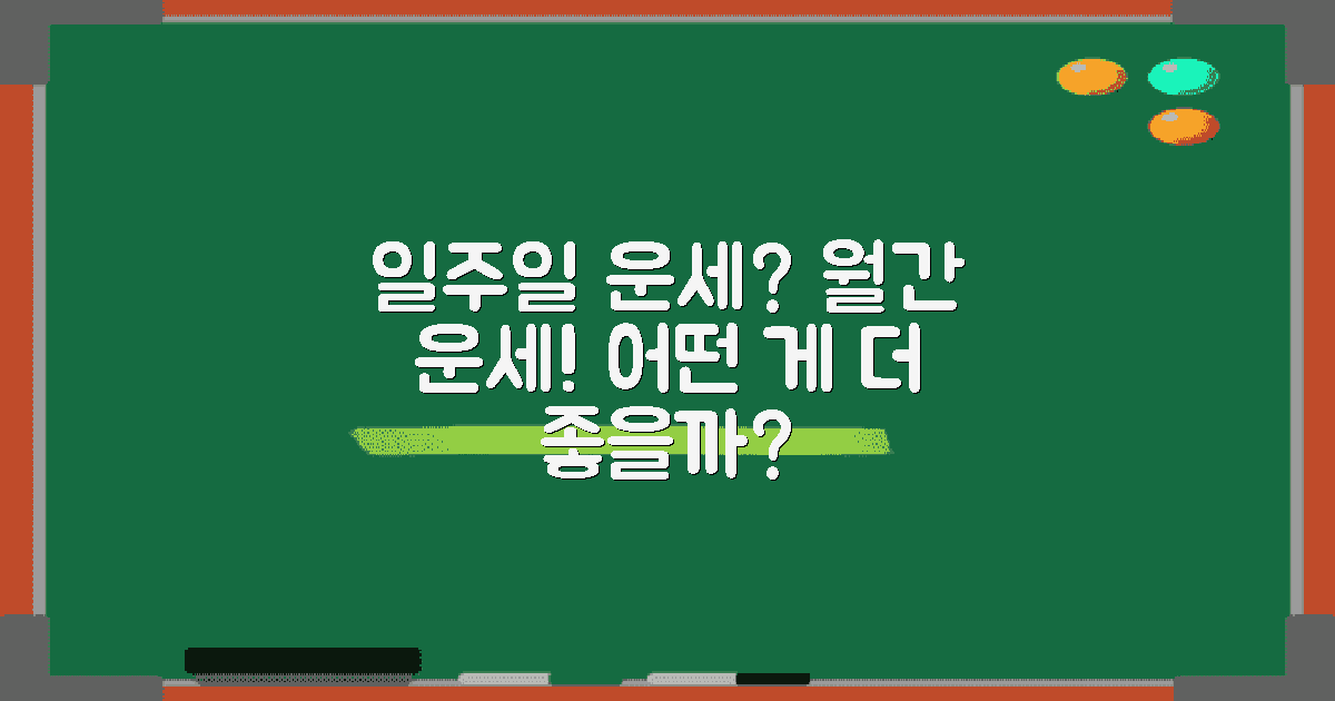 일주일 vs 월간 운세