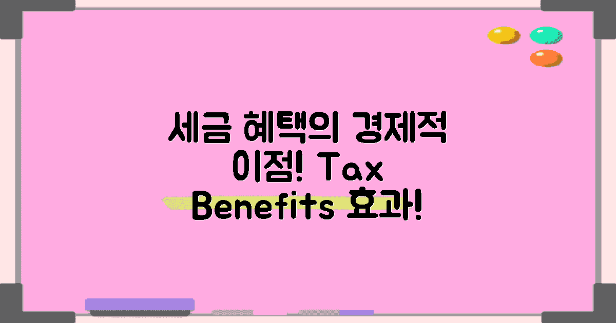 세금 혜택의 경제적 효과