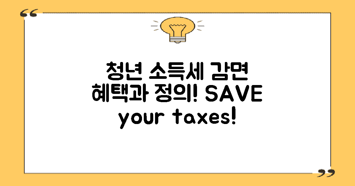 청년 소득세 감면의 정의