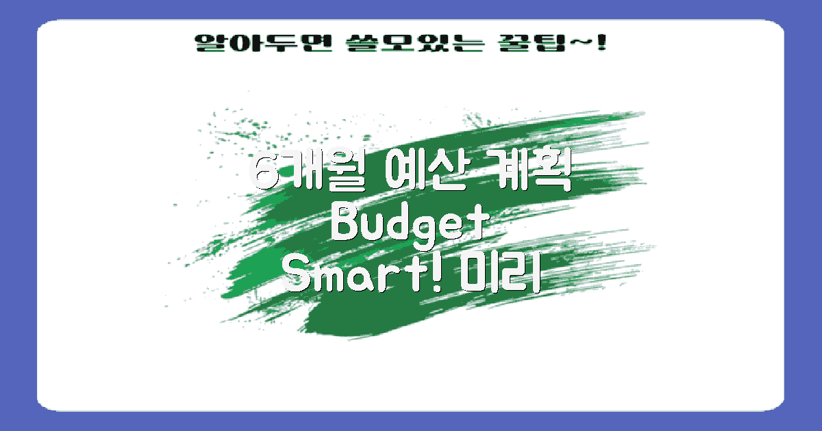 6개월 예산 계획