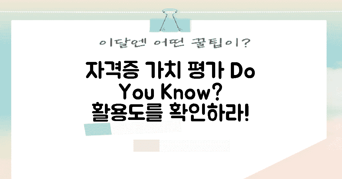 자격증 활용도 평가