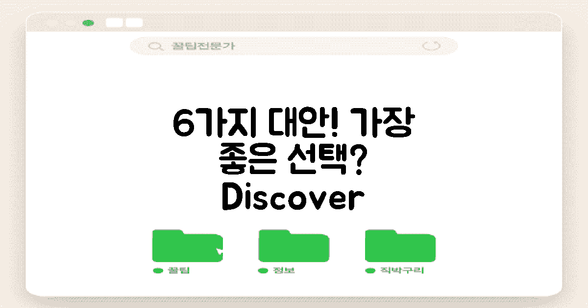 6가지 대안 옵션