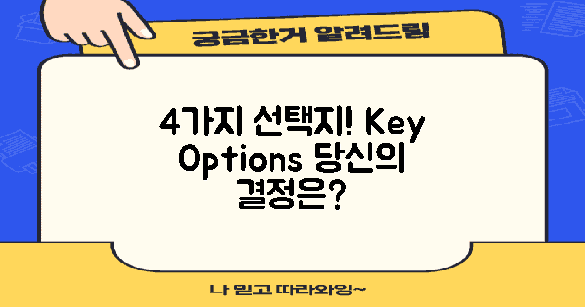 4가지 주요 선택지