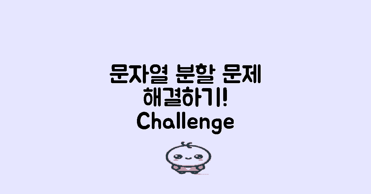 문자열 분할 문제 해결하세요