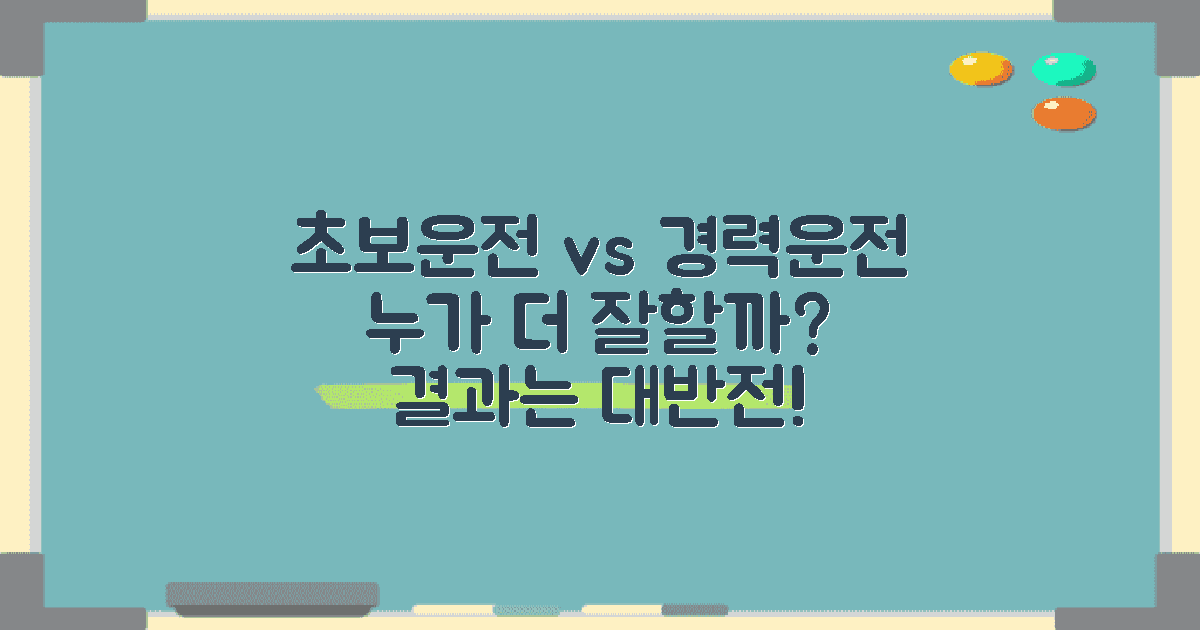 초보운전 vs 경력운전