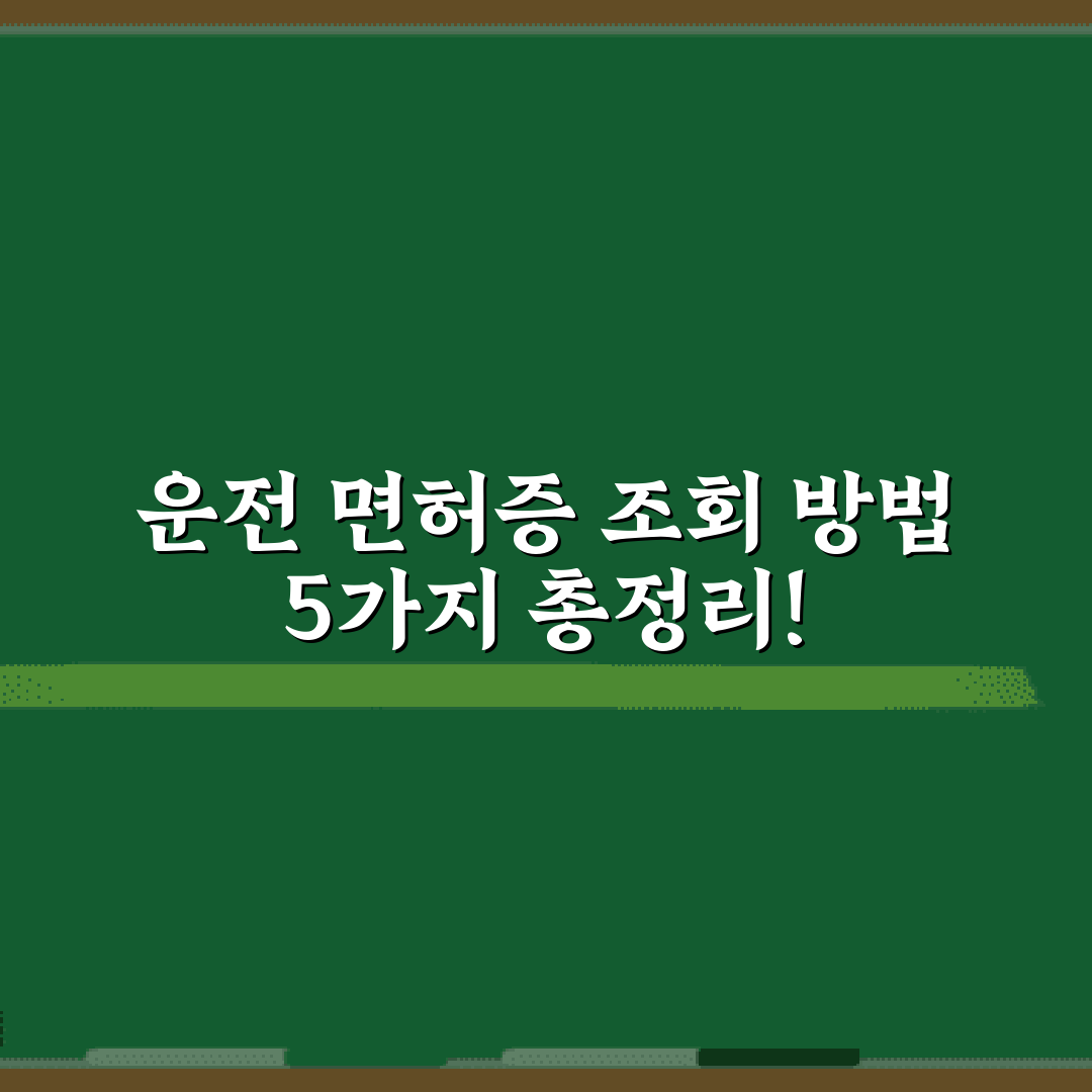 운전 면허증 조회 방법 5가지 총정리!