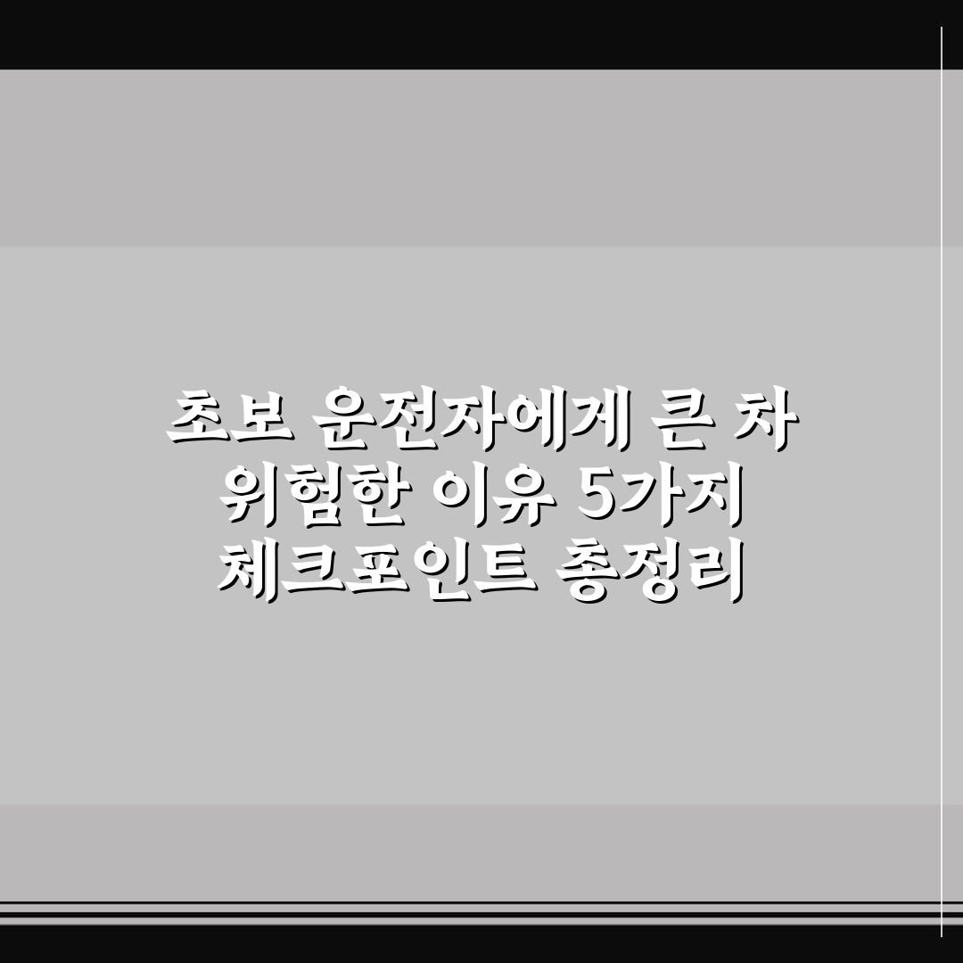 초보 운전자에게 큰 차 위험한 이유 5가지 체크포인트 총정리