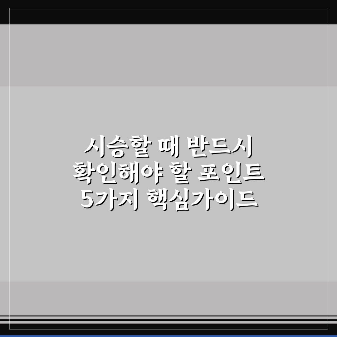 시승할 때 반드시 확인해야 할 포인트 5가지 핵심가이드