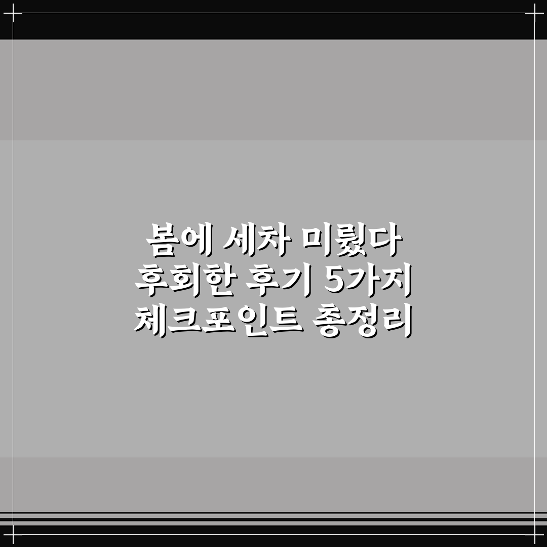 봄에 세차 미뤘다 후회한 후기 5가지 체크포인트 총정리