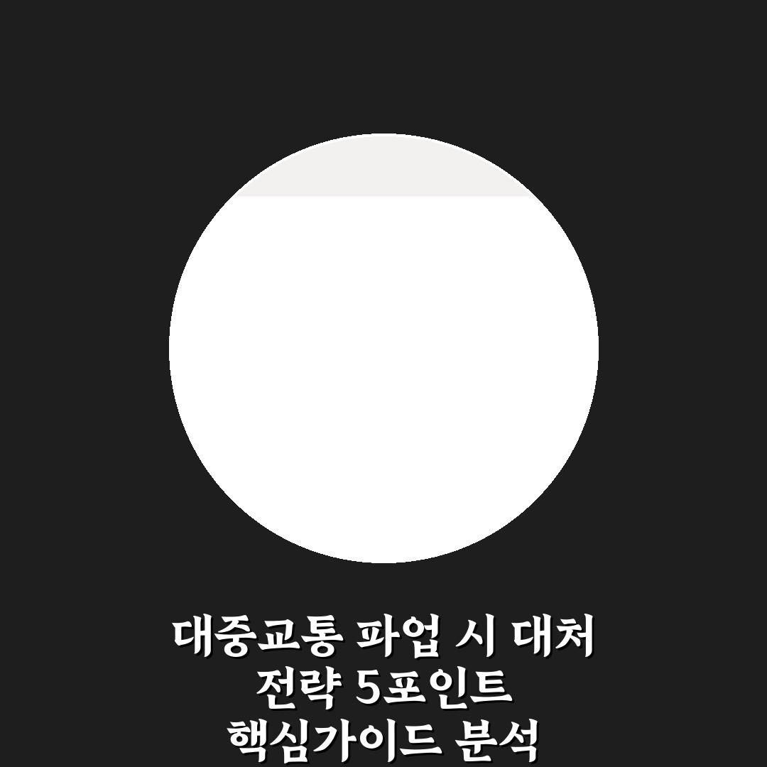 대중교통 파업 시 대처 전략 5포인트 핵심가이드 분석
