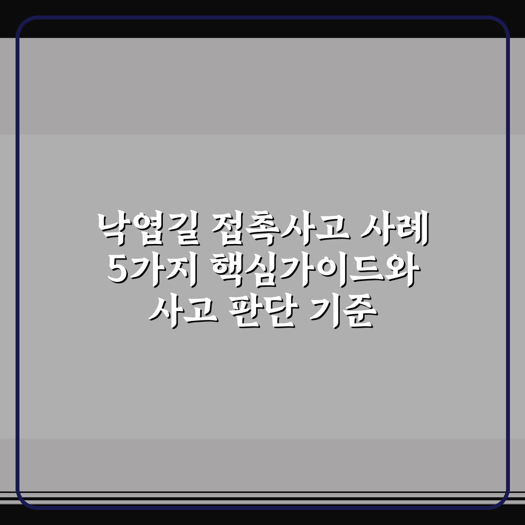 낙엽길 접촉사고 사례 5가지 핵심가이드와 사고 판단 기준