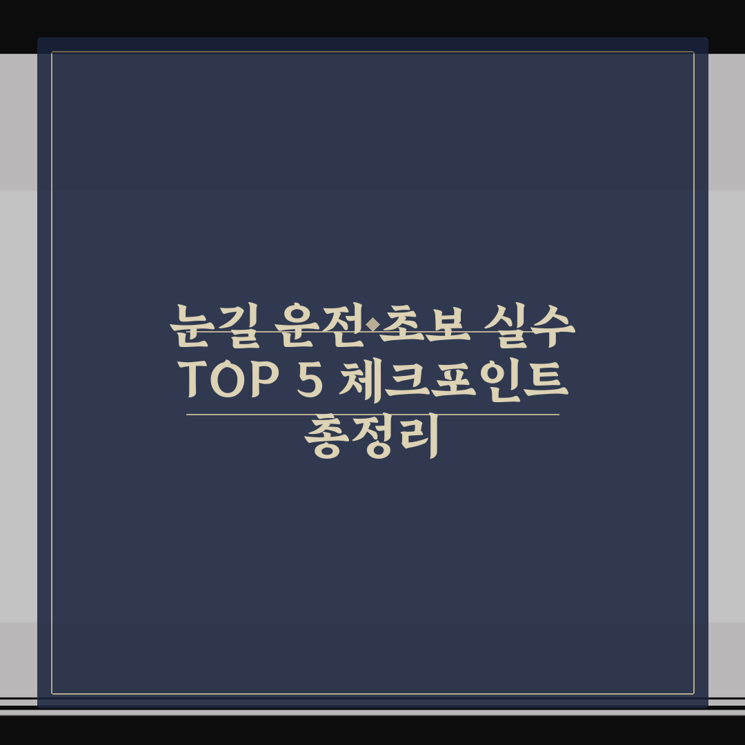 눈길 운전 초보 실수 TOP 5 체크포인트 총정리