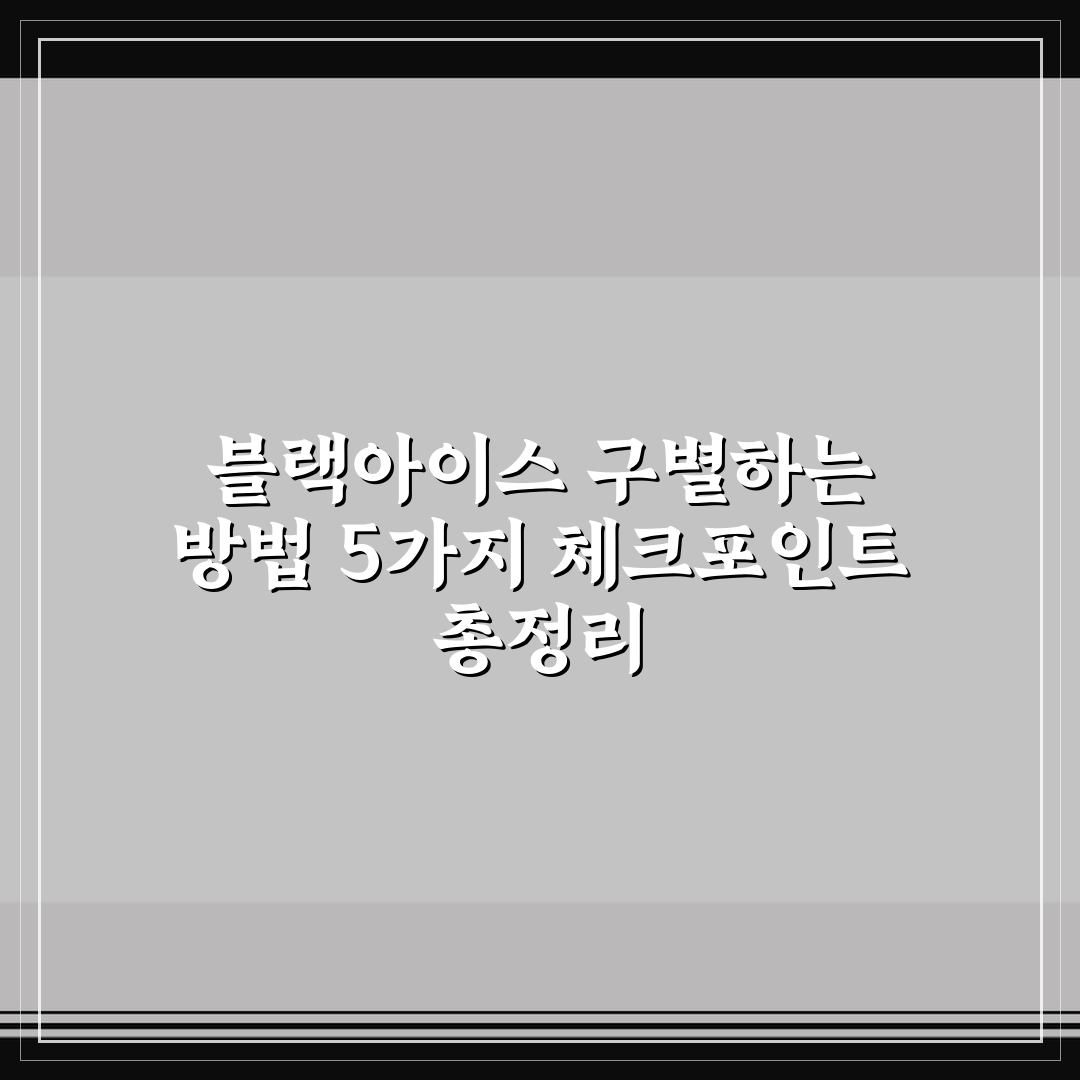 블랙아이스 구별하는 방법 5가지 체크포인트 총정리