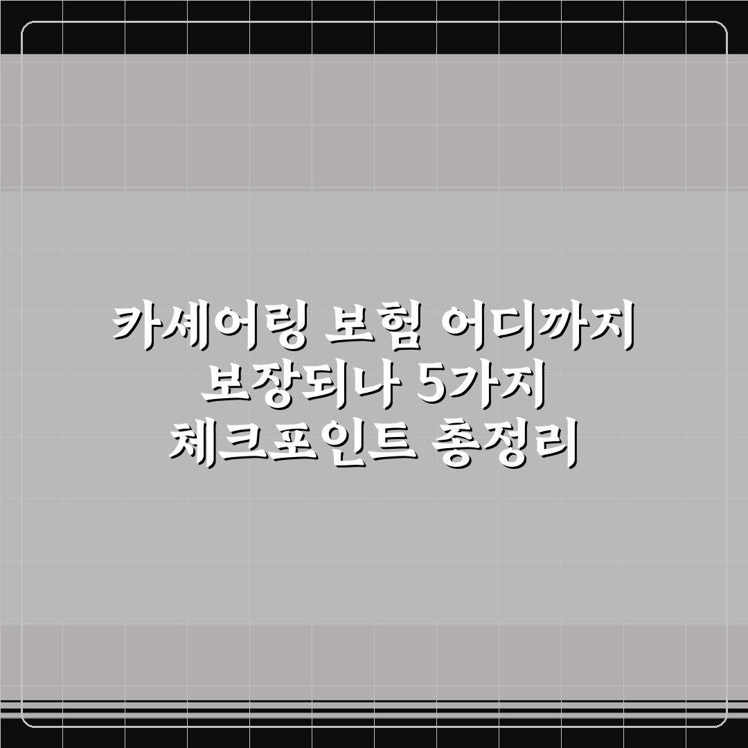 카셰어링 보험 어디까지 보장되나 5가지 체크포인트 총정리