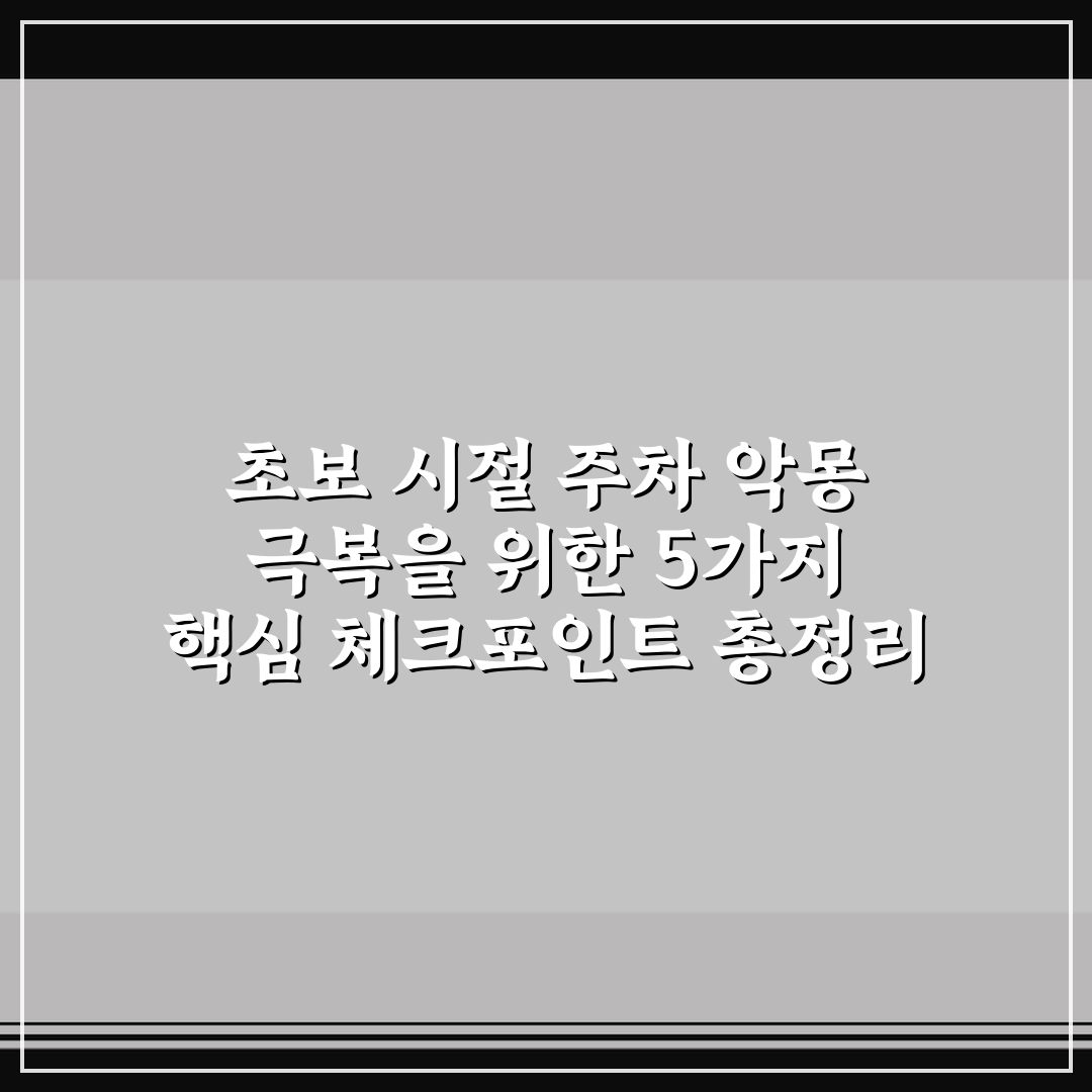 초보 시절 주차 악몽 극복을 위한 5가지 핵심 체크포인트 총정리
