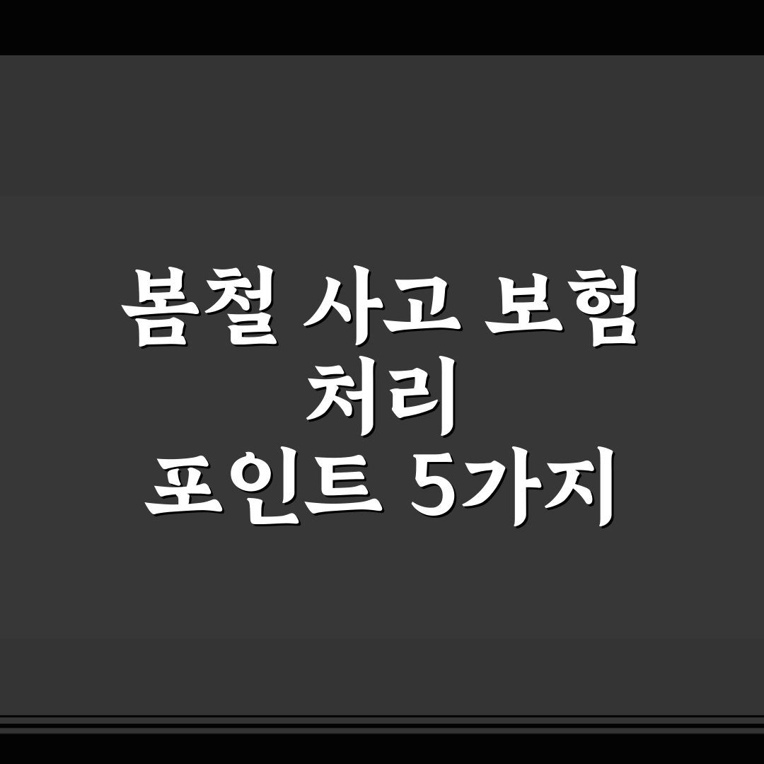 봄철 사고 보험 처리 포인트 5가지 핵심가이드와 판단 기준