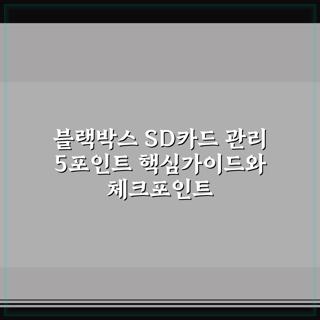 블랙박스 SD카드 관리 5포인트 핵심가이드와 체크포인트