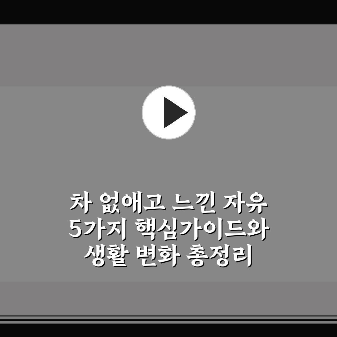 차 없애고 느낀 자유 5가지 핵심가이드와 생활 변화 총정리