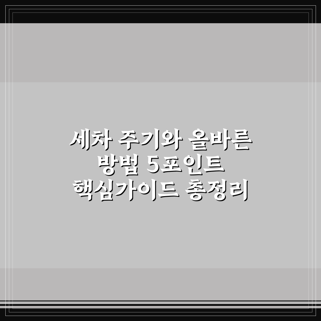 세차 주기와 올바른 방법 5포인트 핵심가이드 총정리