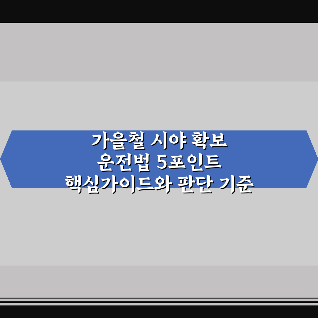 가을철 시야 확보 운전법 5포인트 핵심가이드와 판단 기준