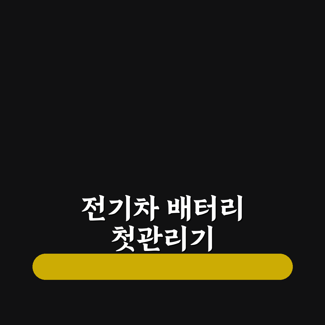 전기차 12V 배터리 방전 직접 써본 후기와 해결 방법
