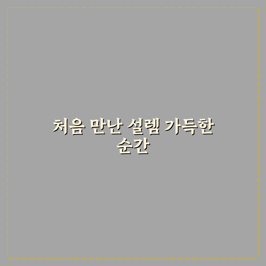 미니쿠퍼 중고 고질병 직접 써본 후기로 알아본 문제점