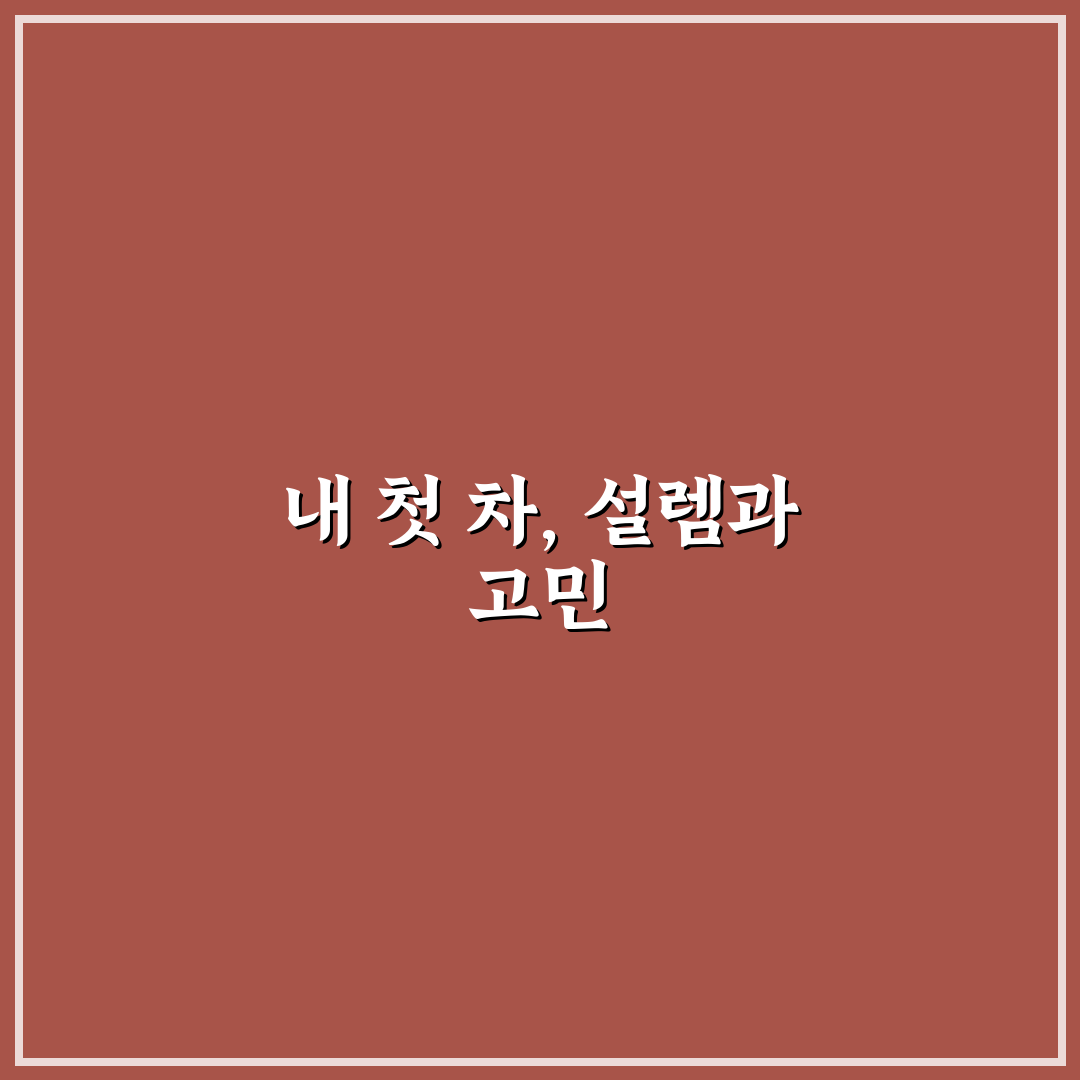 카니발 중고 매물 직접 써본 후기와 구매 팁