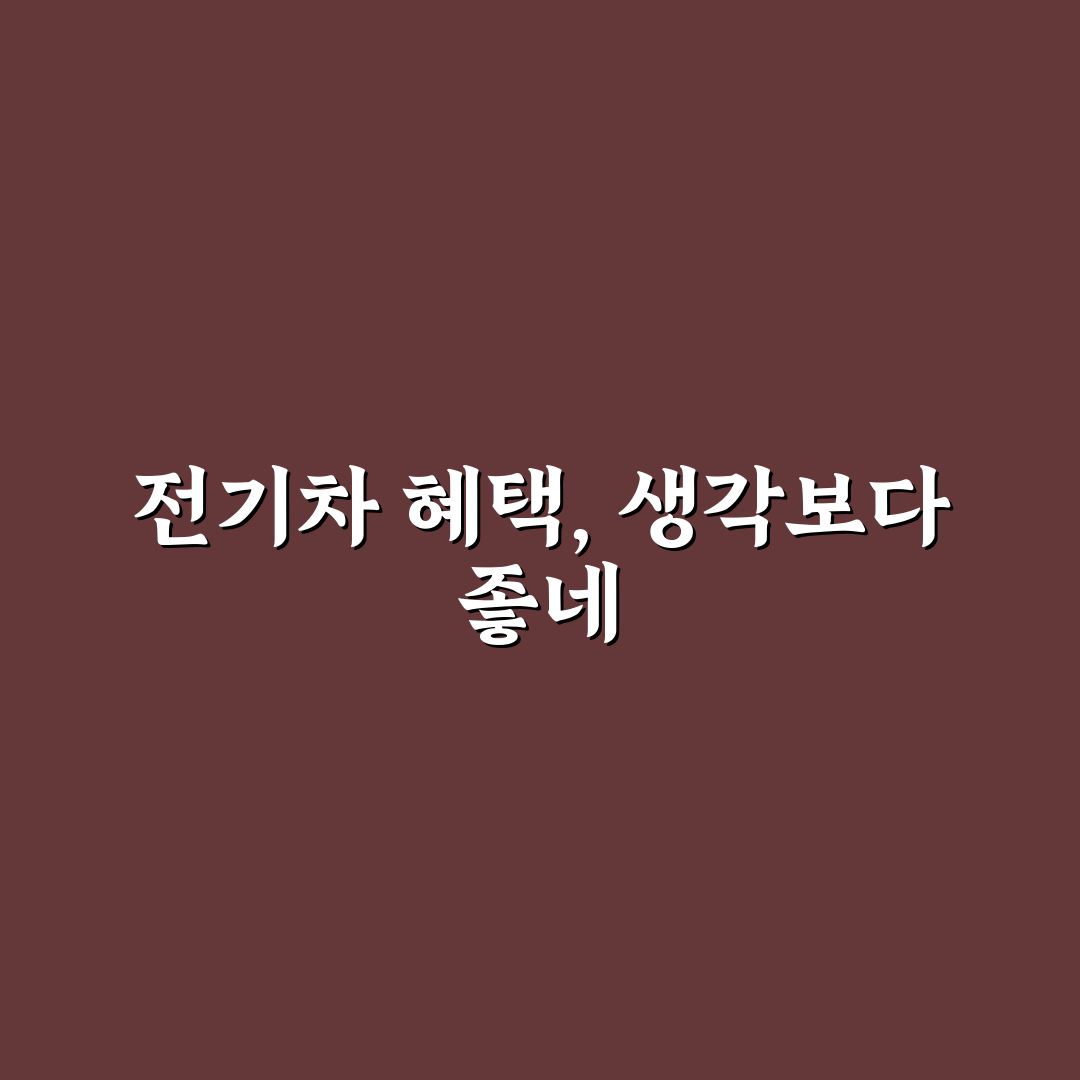지자체 전기차 보조금 실제 경험과 사용후기 공유