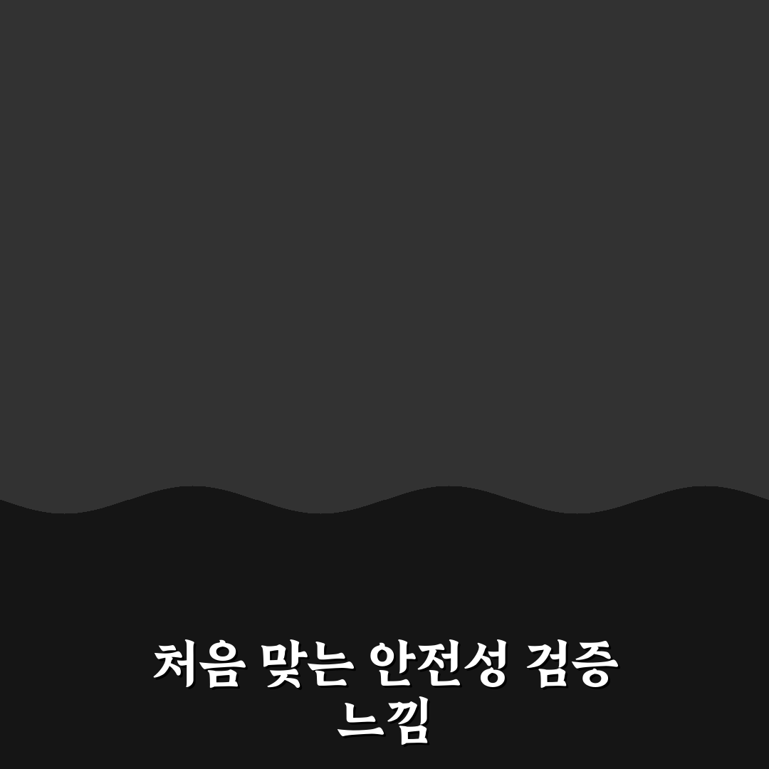전기차 안전 테스트 결과를 직접 써본 후기