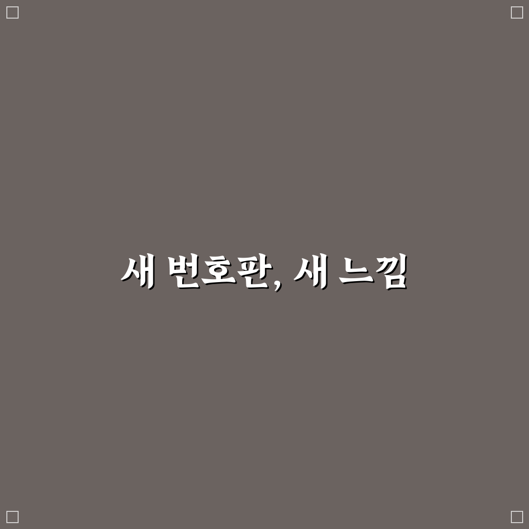 중고차 번호판 교체 직접 써본 후기와 절차 안내