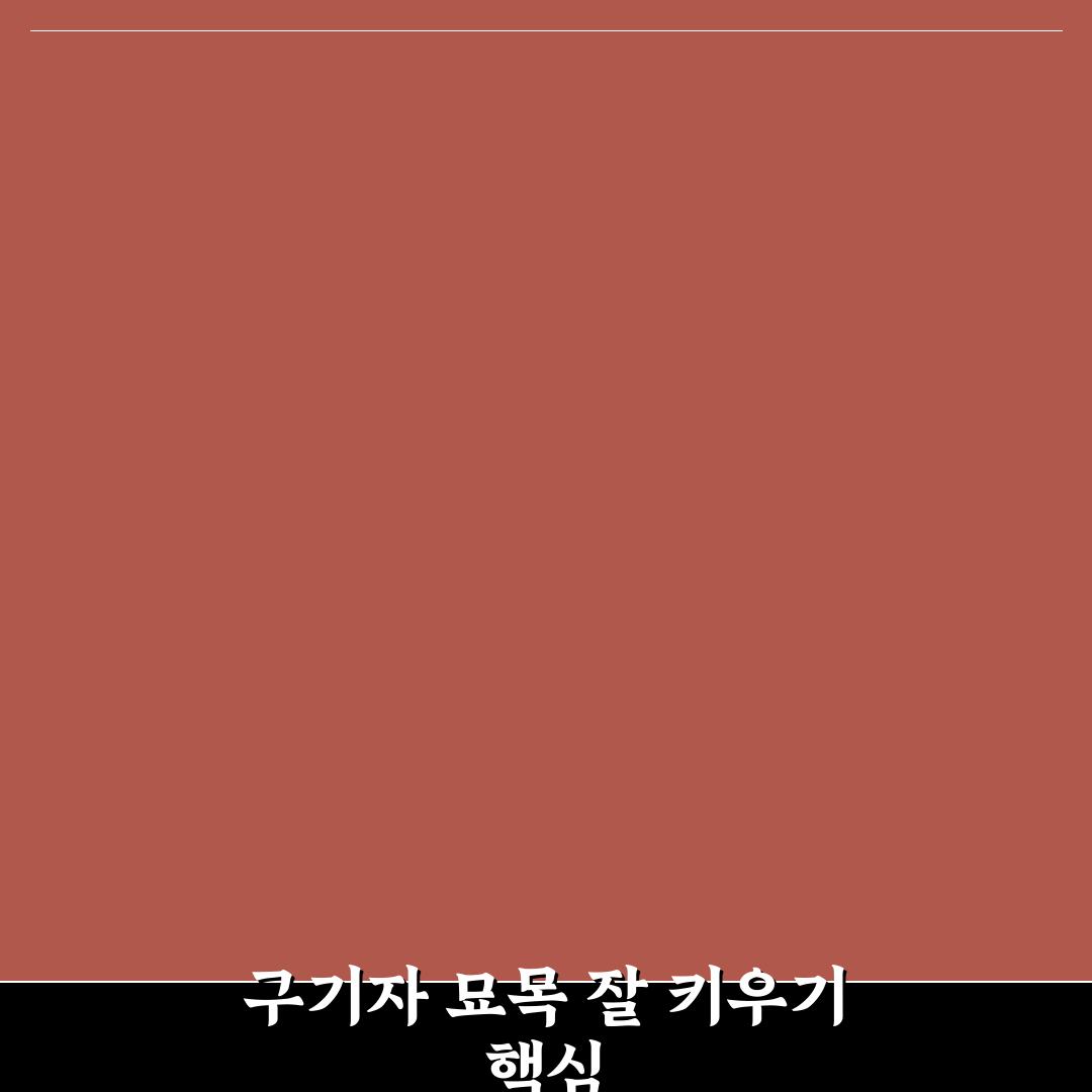 구기자 묘목 키우기 방법과 초보 꿀팁 알려드려요