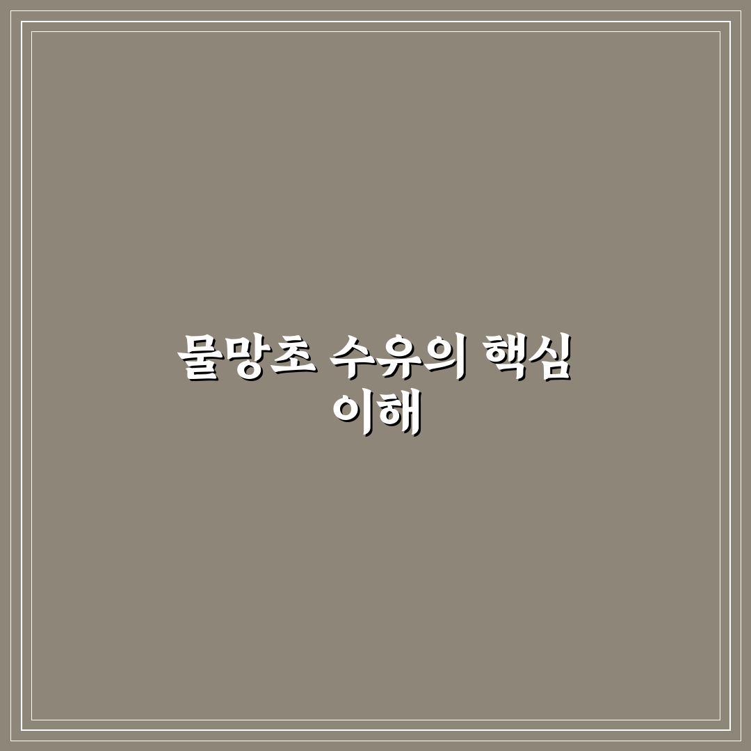 물망초 수유 방법과 꿀팁 초보자도 쉽게 이해하기