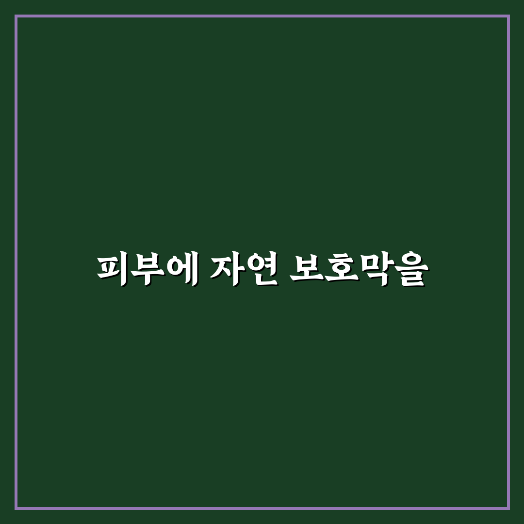 차앤박 프로폴리스 쿠션 사용법과 추천 꿀팁 정리
