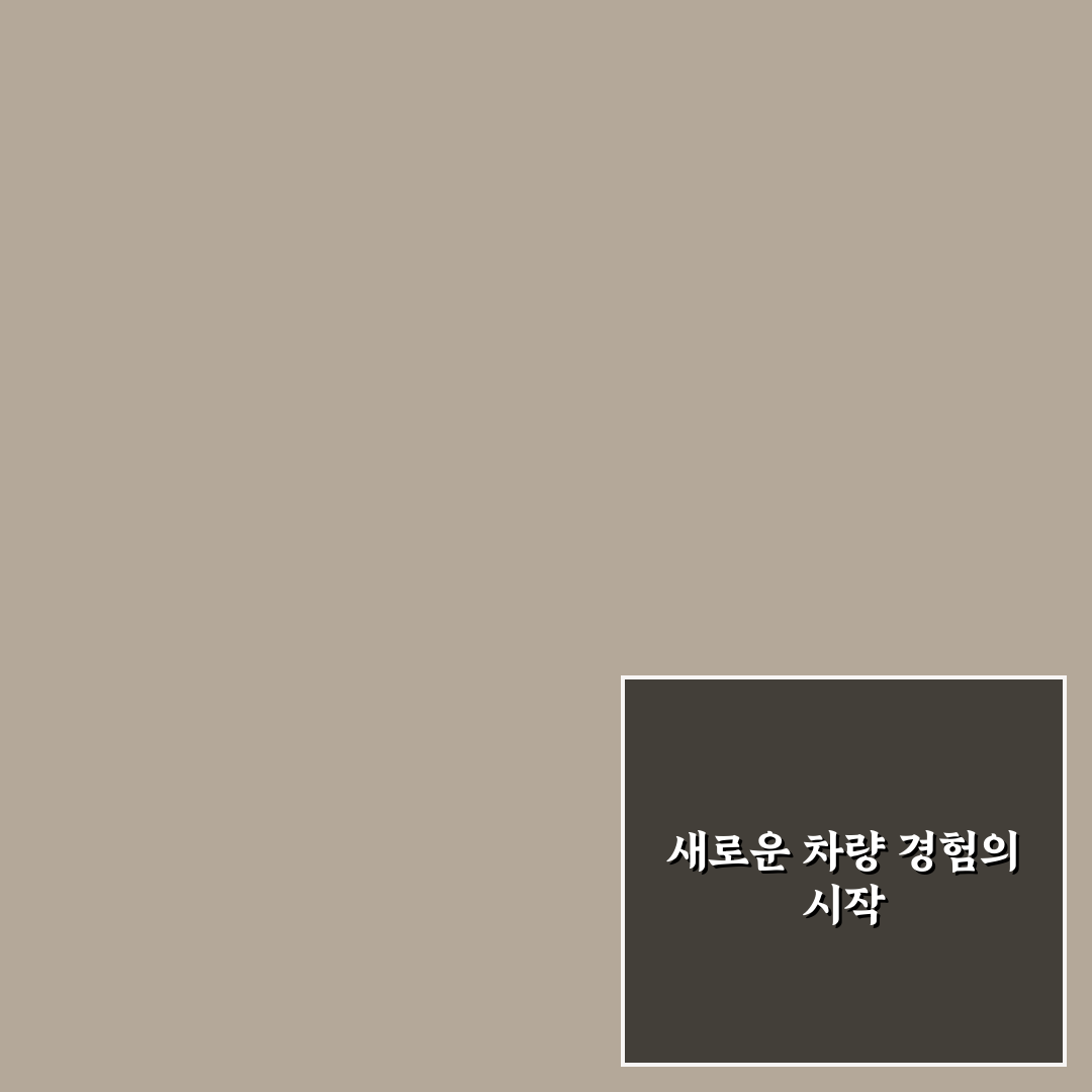 중고차 리스 승계 직접 써본 후기와 유의사항 정리