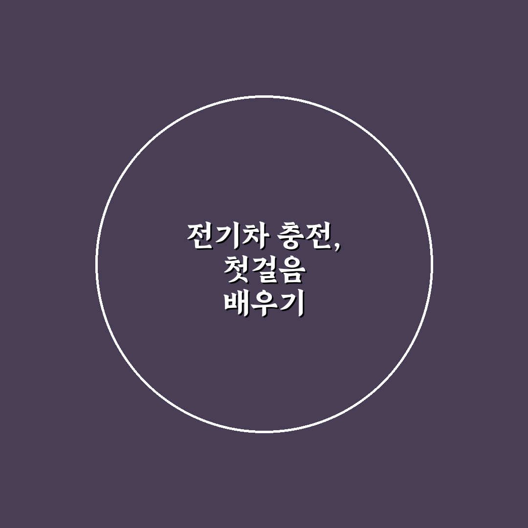 전기차 어댑터 종류와 직접 써본 후기 정리