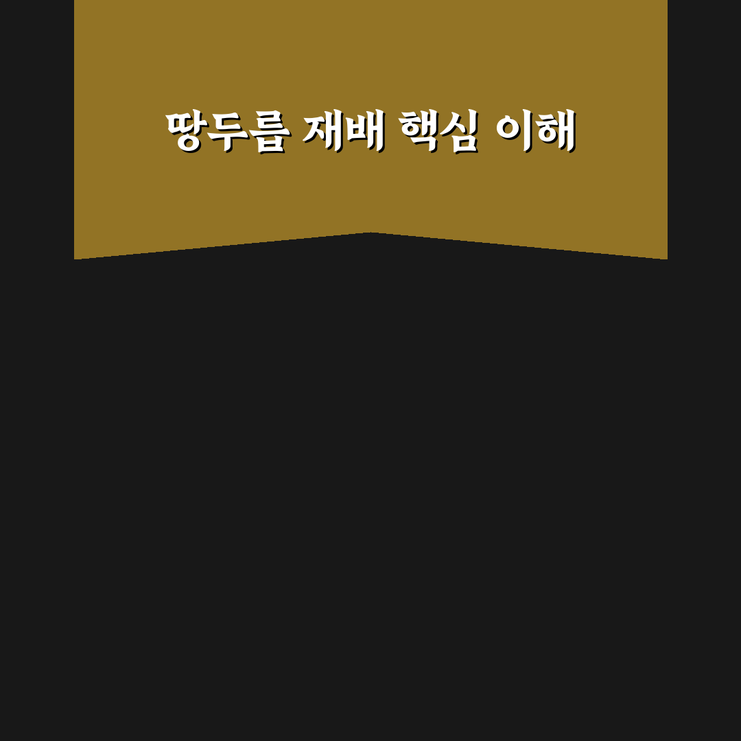 땅두릅 키우기 방법과 초보자도 쉬운 꿀팁 공유