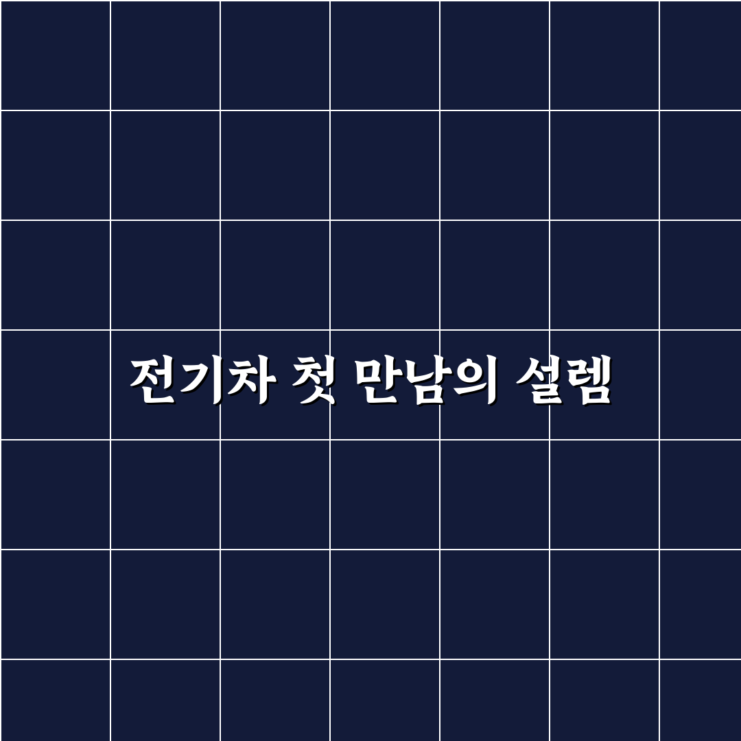 아이오닉 EV 비교 직접 써본 후기와 실사용 경험 공유