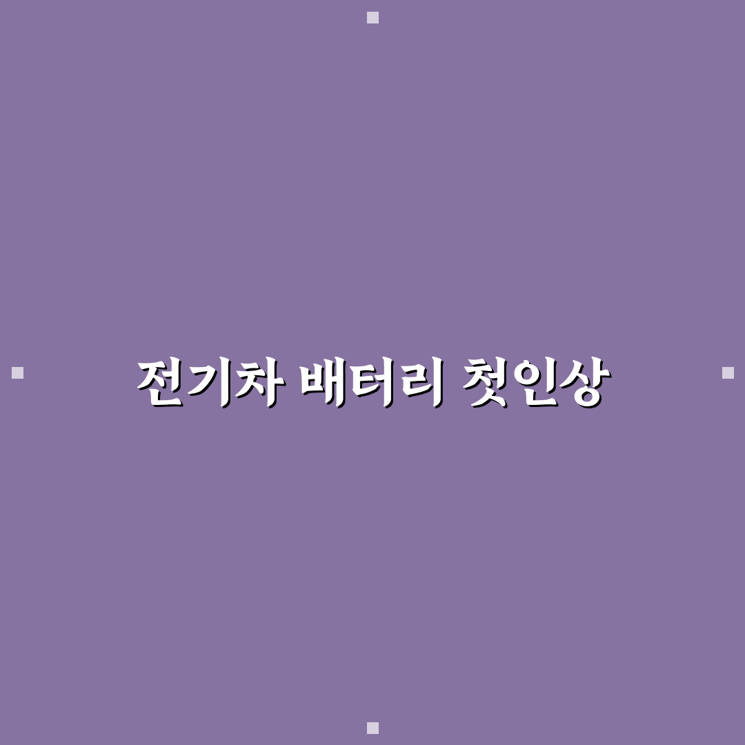 전기차 배터리 수명 관리를 위한 직접 써본 후기
