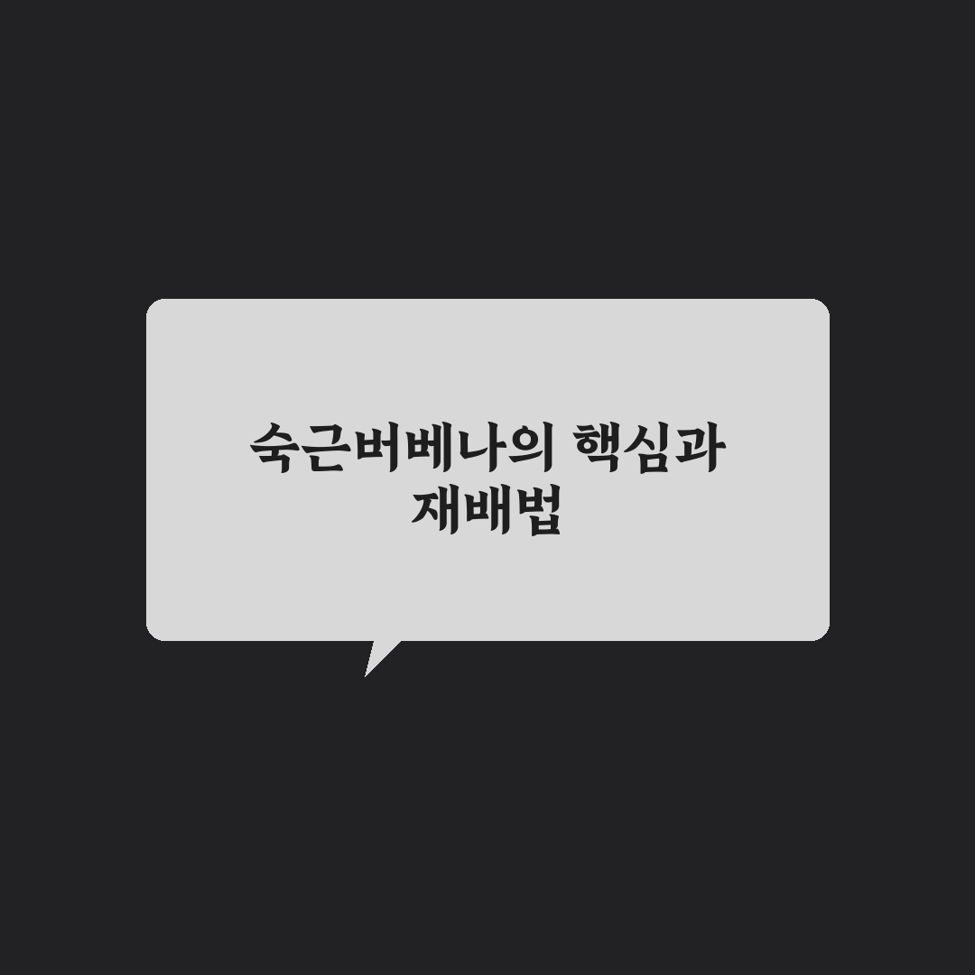 숙근버베나 키우는법과 관리 꿀팁 쉽게 알려드려요