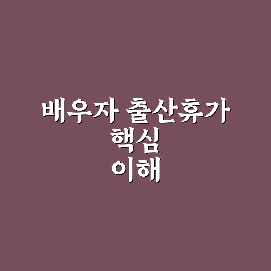 배우자 출산휴가 분할 방법과 꿀팁 쉽게 정리