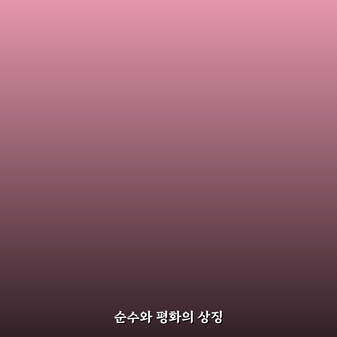 하얀 튤립 꽃말과 의미 쉽게 알려드려요