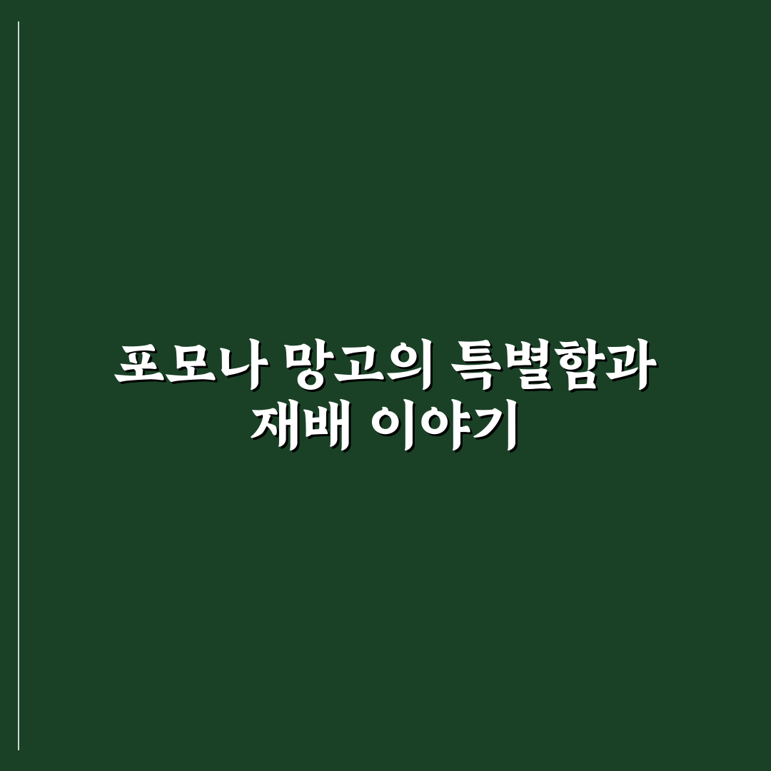 포모나 망고 구매 전 꼭 알아야 할 꿀팁 공유