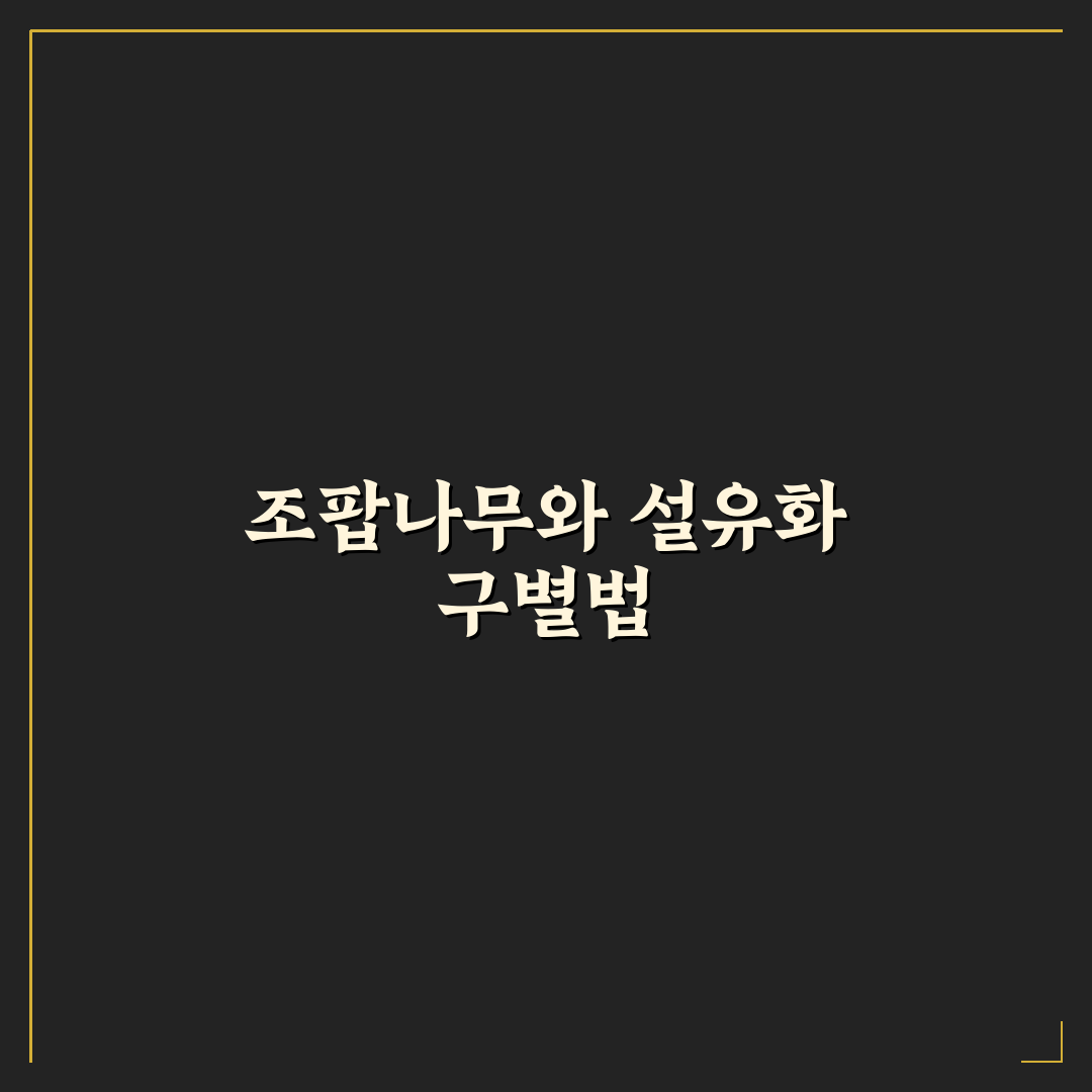 조팝나무 설유화 차이와 특징 쉽게 정리해드려요