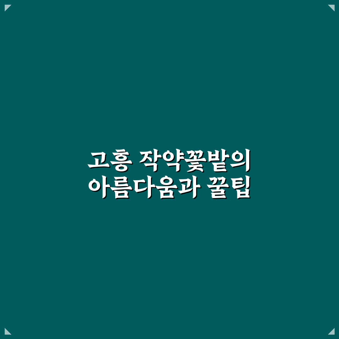 전남 고흥 작약꽃밭 방문 꿀팁과 즐길 거리 알려드려요