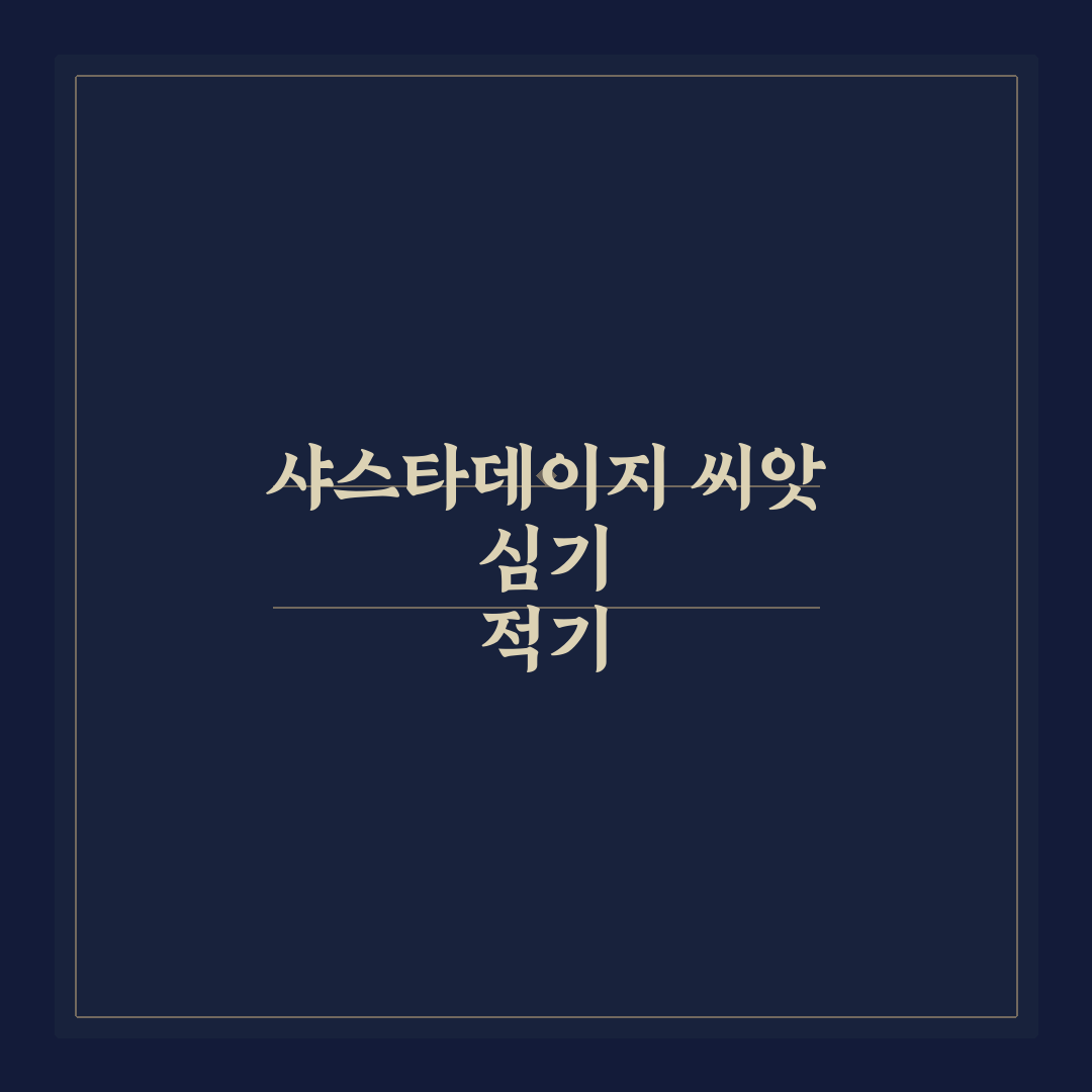 샤스타데이지 씨앗 심는 시기와 방법 쉽게 알려드려요